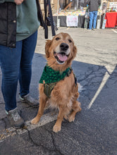 Load image into Gallery viewer, Luck of the Irish Pet Bandana
