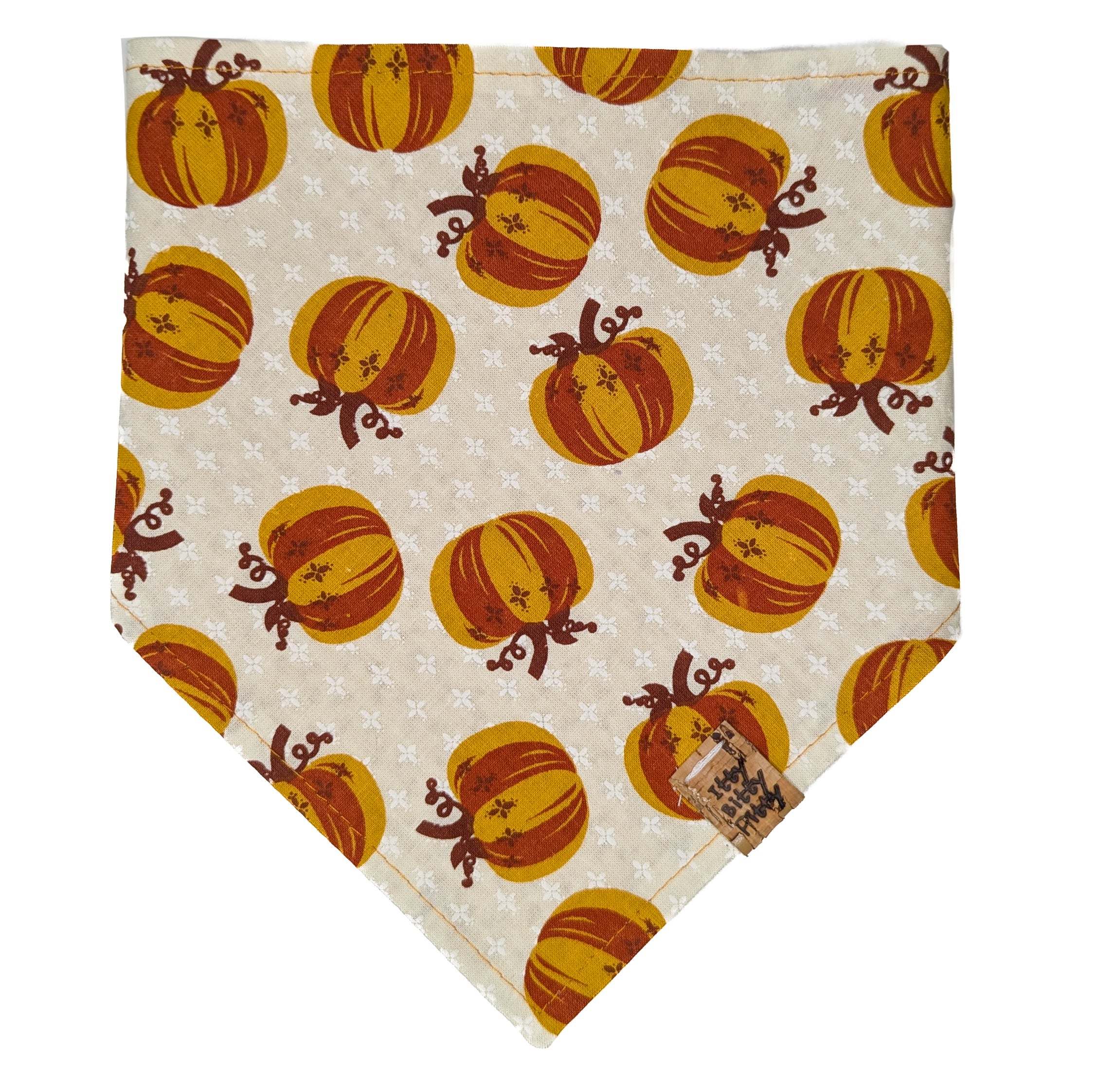 Enchanted Pumpkin Pet Bandana