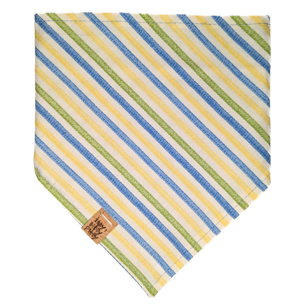 Golden Dragonfly Pet Bandana