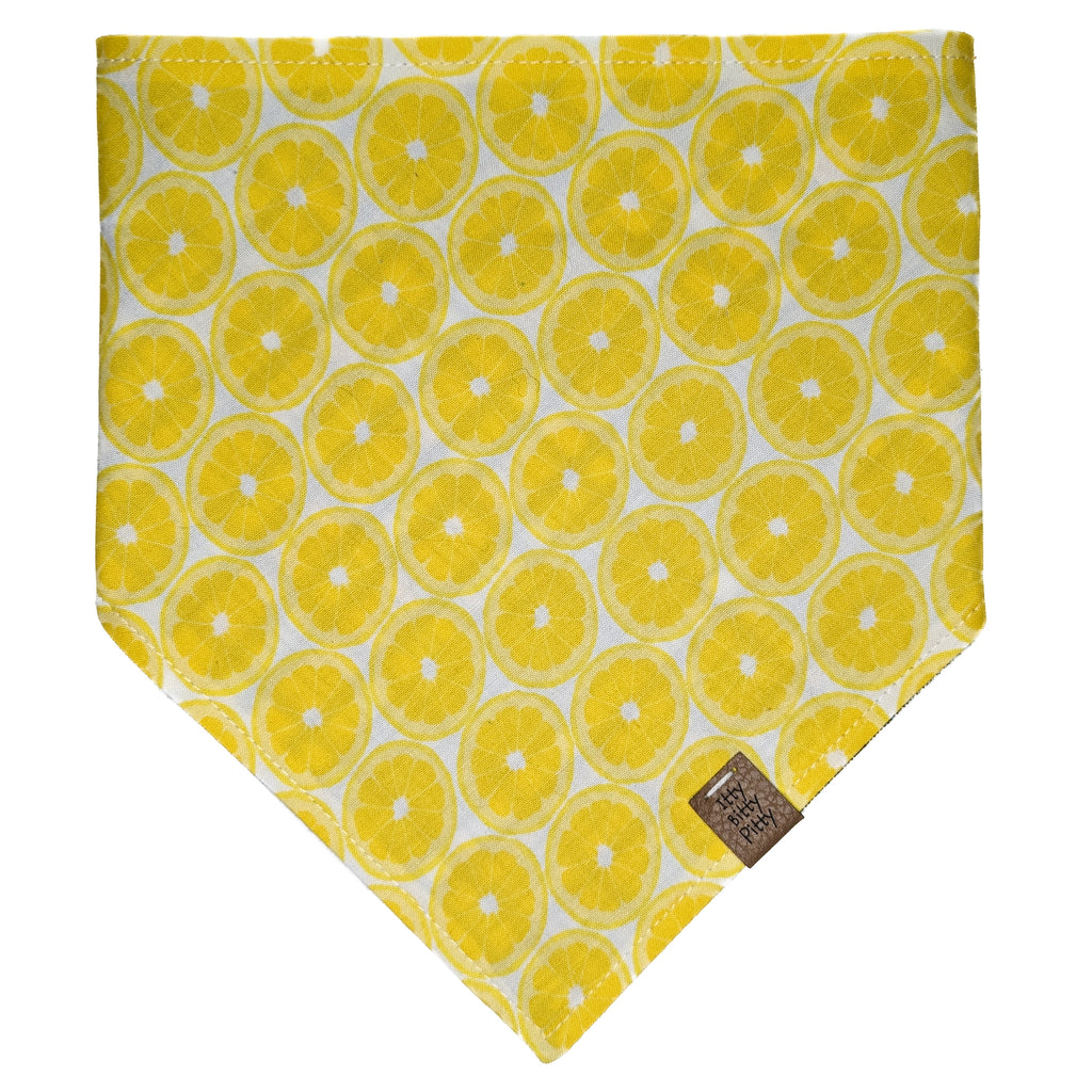 Lemon Squeeze Pet Bandana
