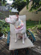 Load image into Gallery viewer, Ice Cream Social - 17&quot; - LargeA
