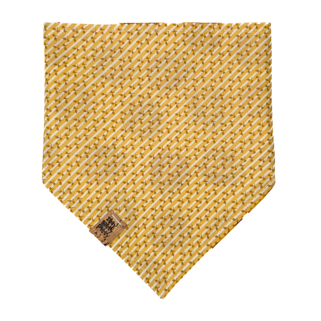 Enchanted Pumpkin Pet Bandana