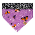 Purple and Orange Moths Pet Bandana