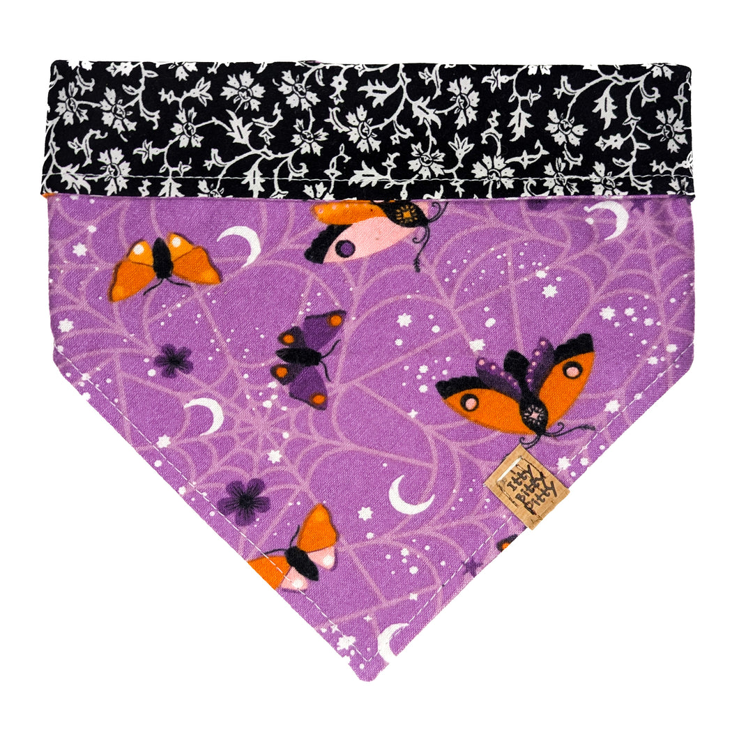 Purple and Orange Moths Pet Bandana