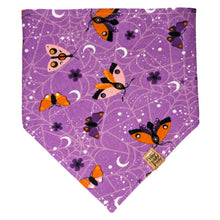 Load image into Gallery viewer, Purple and Orange Moths Pet Bandana

