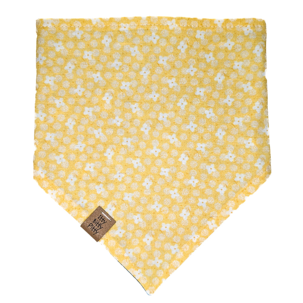 Zodiac Calendar Pet Bandana