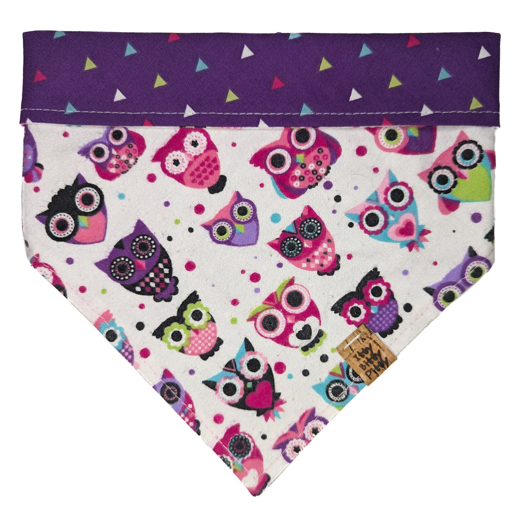 Purple Owls Pet Bandana