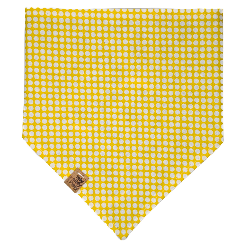 Blue Witches Pet Bandana