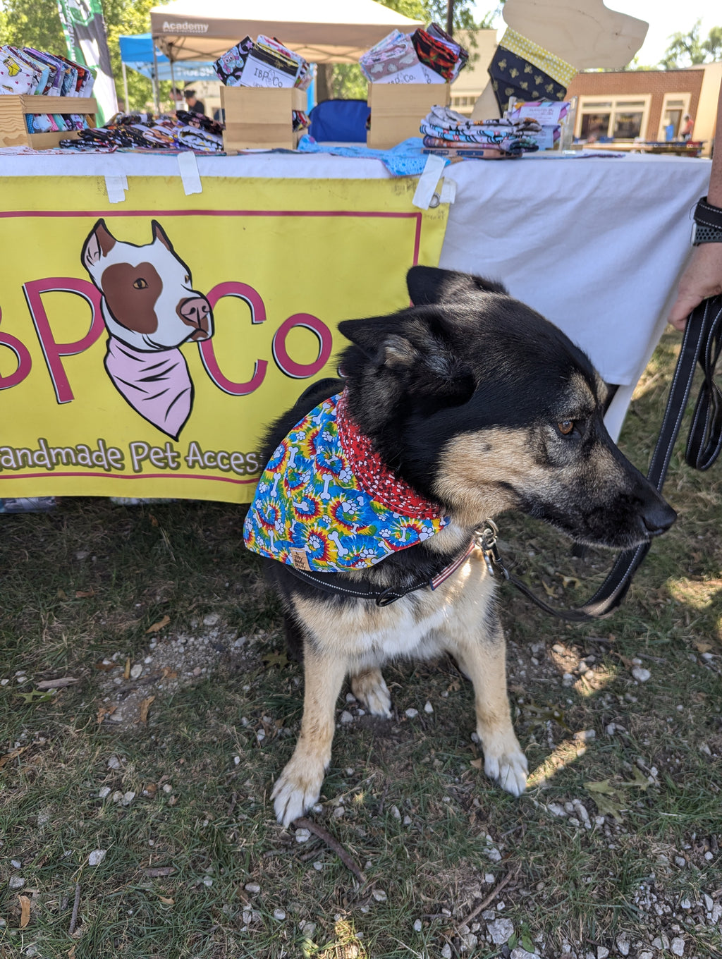 Tie Dye Paw Print Pet Bandana
