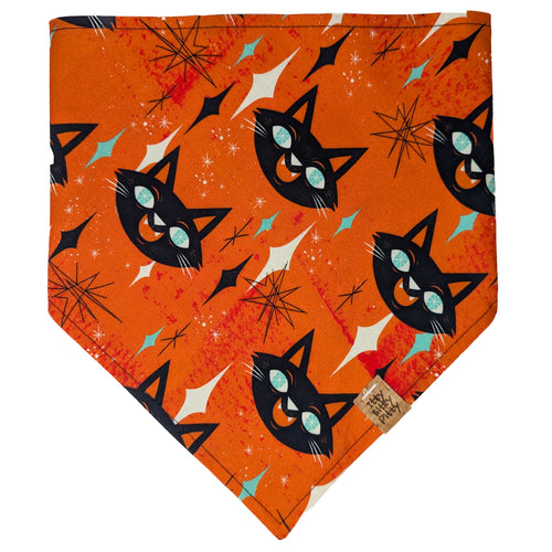 Black Cat Face Pet Bandana