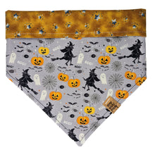 Load image into Gallery viewer, Gray Witches Pet Bandana
