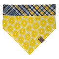 Lemon Squeeze Pet Bandana