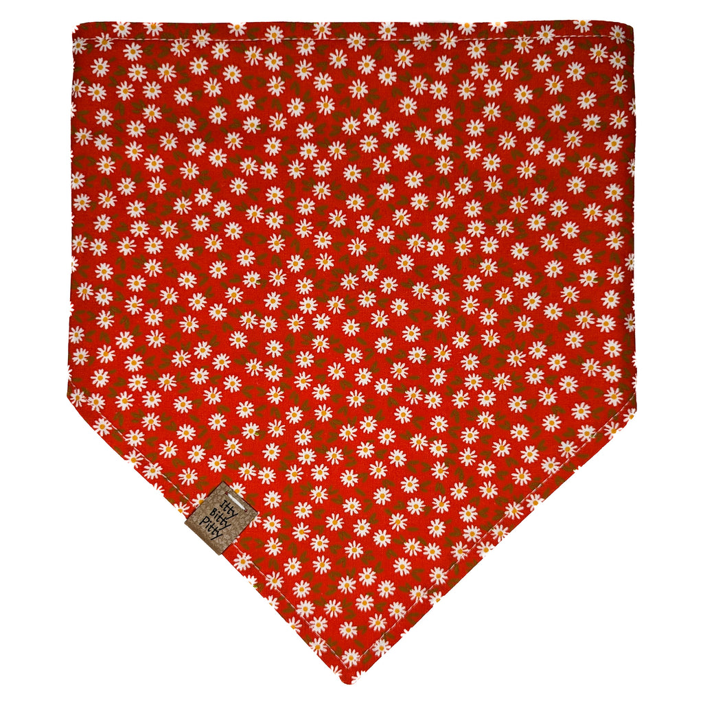Rainbow Goldfish Pet Bandana