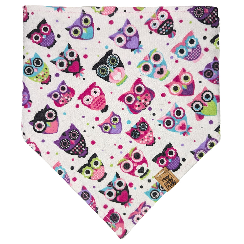 Purple Owls Pet Bandana