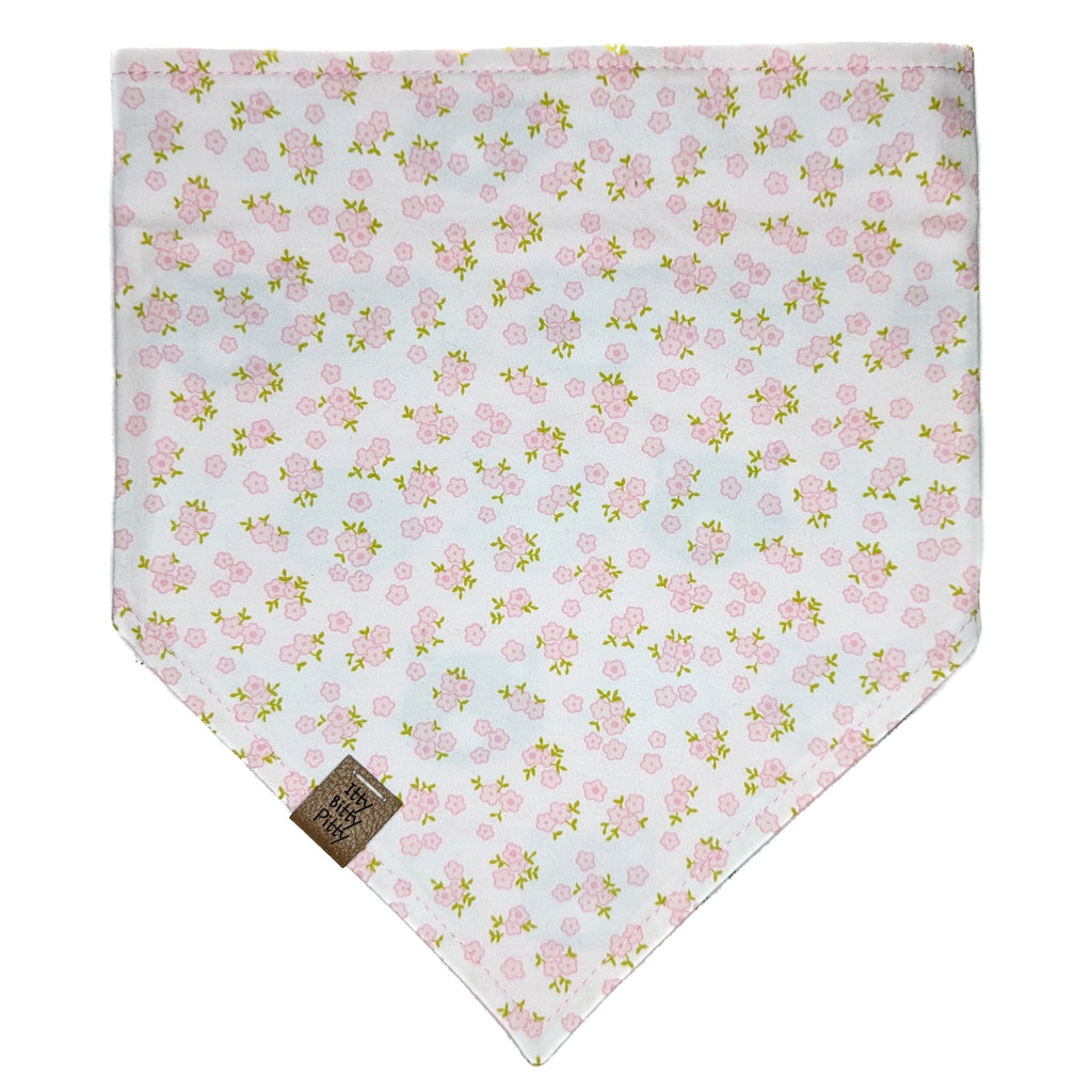 Cat Head Pet Bandana