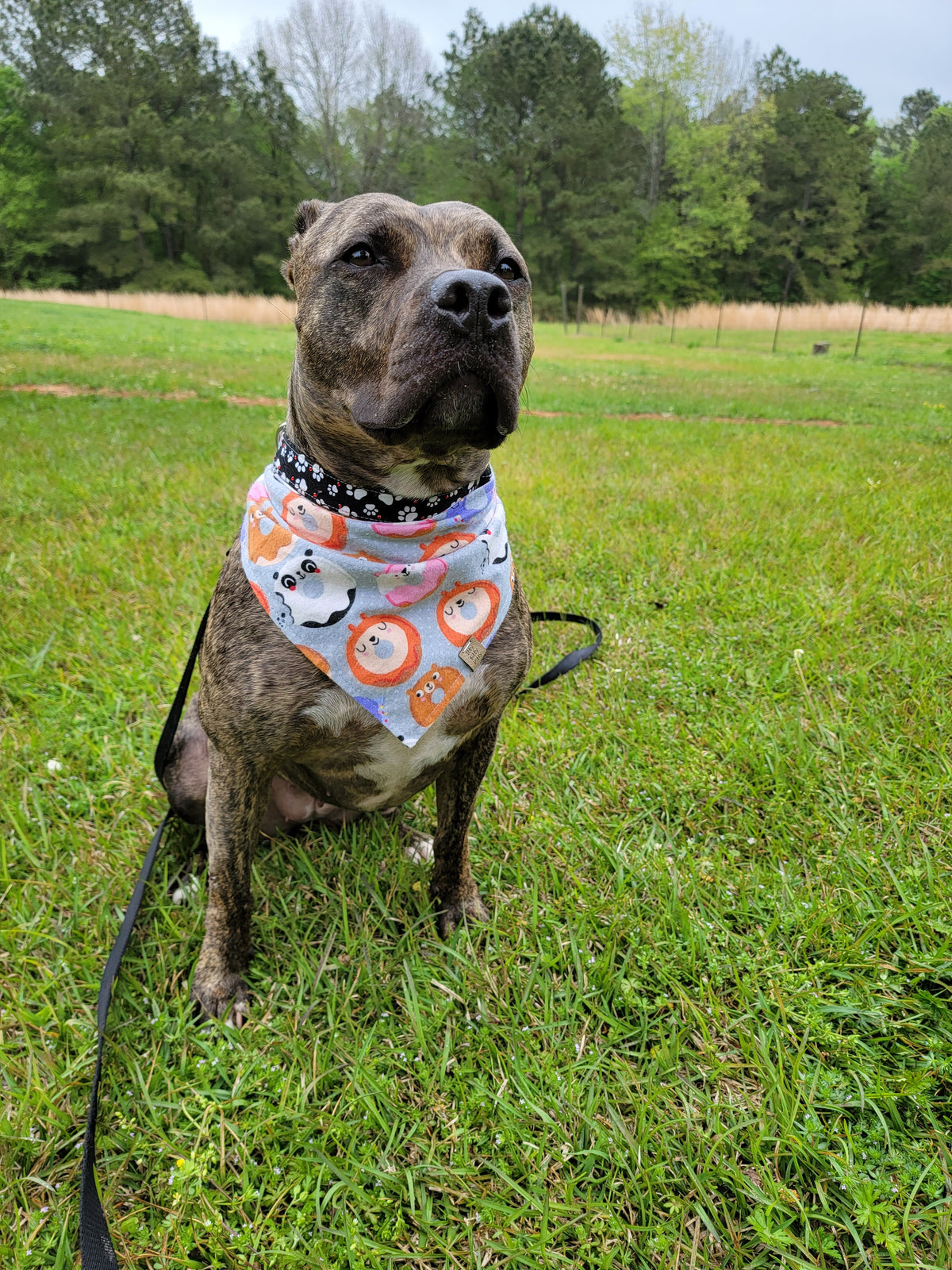 Animal Donuts Pet Bandana