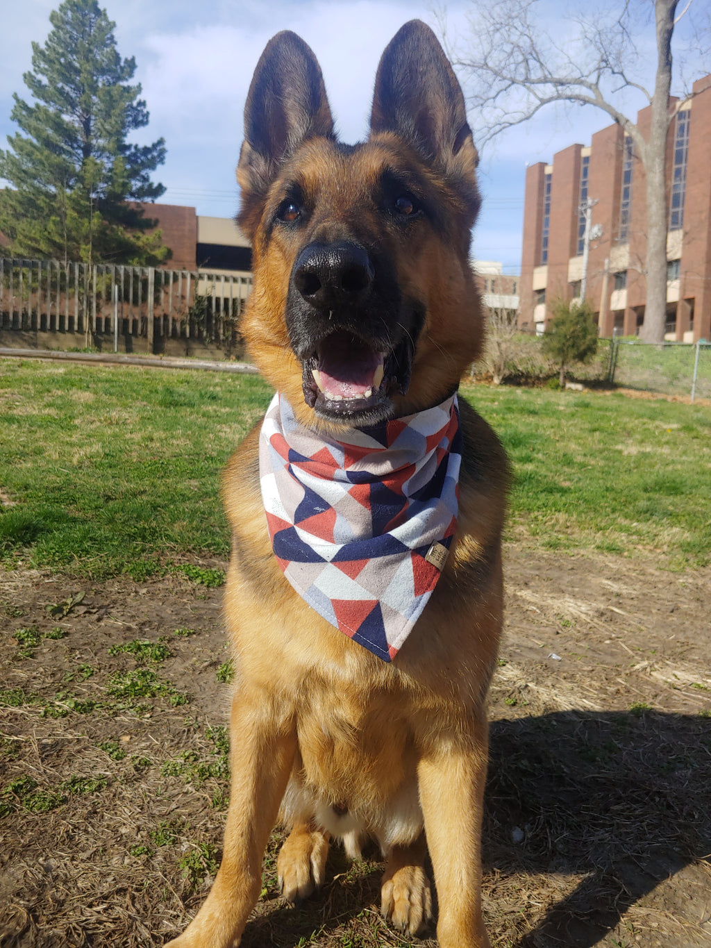 Geometric Christmas Pet Bandana