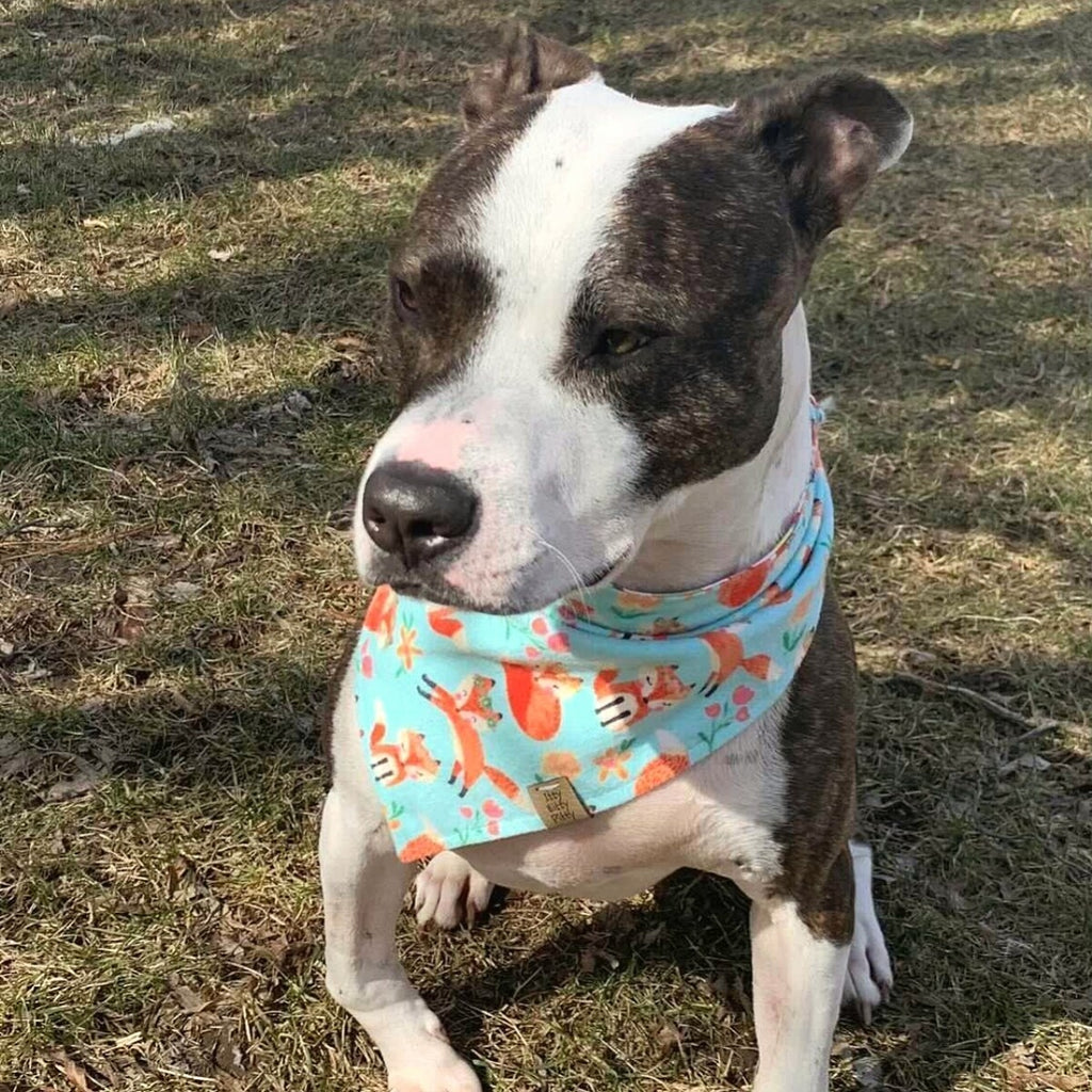 Floral Crown Fox Pet Bandana