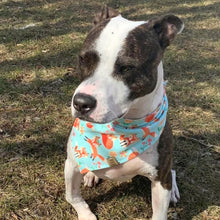 Load image into Gallery viewer, Floral Crown Fox Pet Bandana
