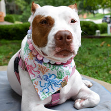 Load image into Gallery viewer, Octopus&#39;s Garden Pet Bandana
