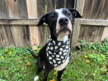 Load image into Gallery viewer, Little Glow Ghosts Pet Bandana - GLOW IN THE DARK
