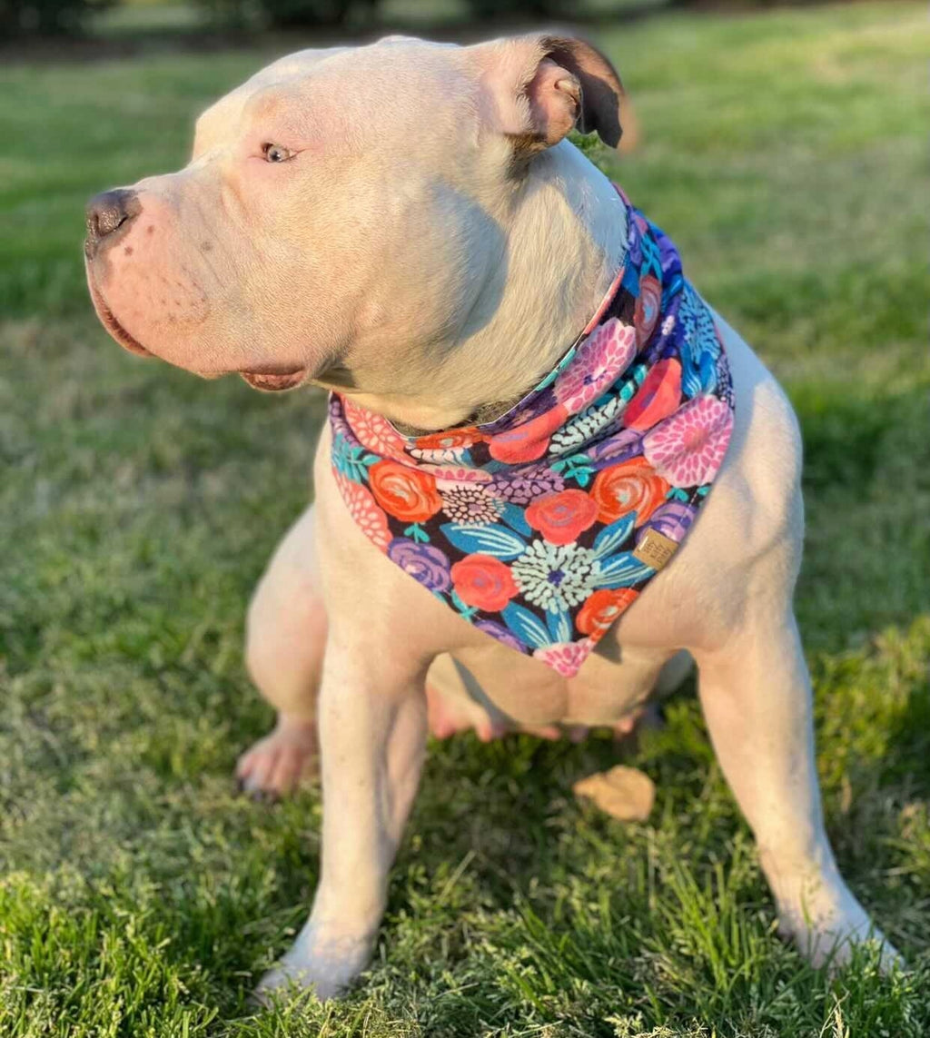 In Full Bloom Pet Bandana