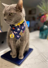 Load image into Gallery viewer, Paw Prints and Fishies Pet Bandana
