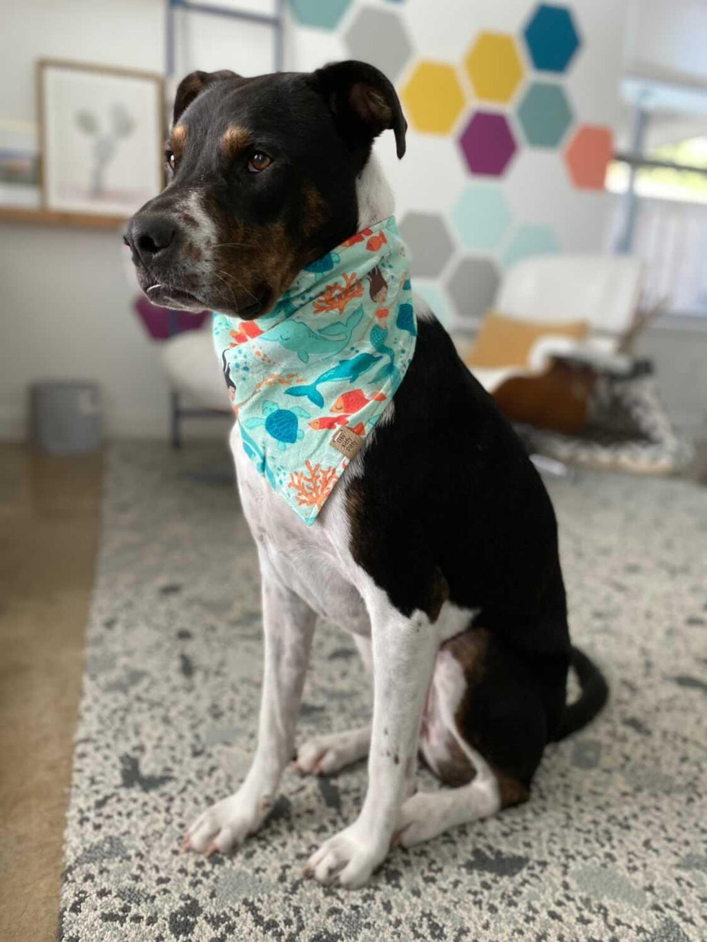 Under the Sea Pet Bandana