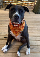 Load image into Gallery viewer, Golden Leaves Pet Bandana
