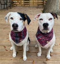 Load image into Gallery viewer, Home For The Holidays Pet Bandana
