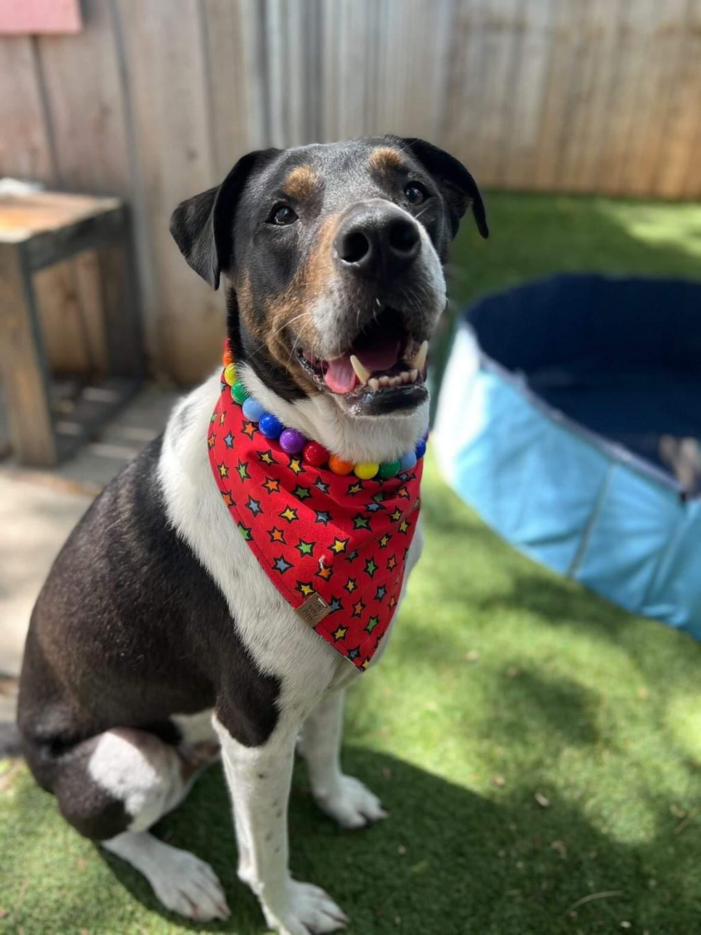 Outta This World Pet Bandana