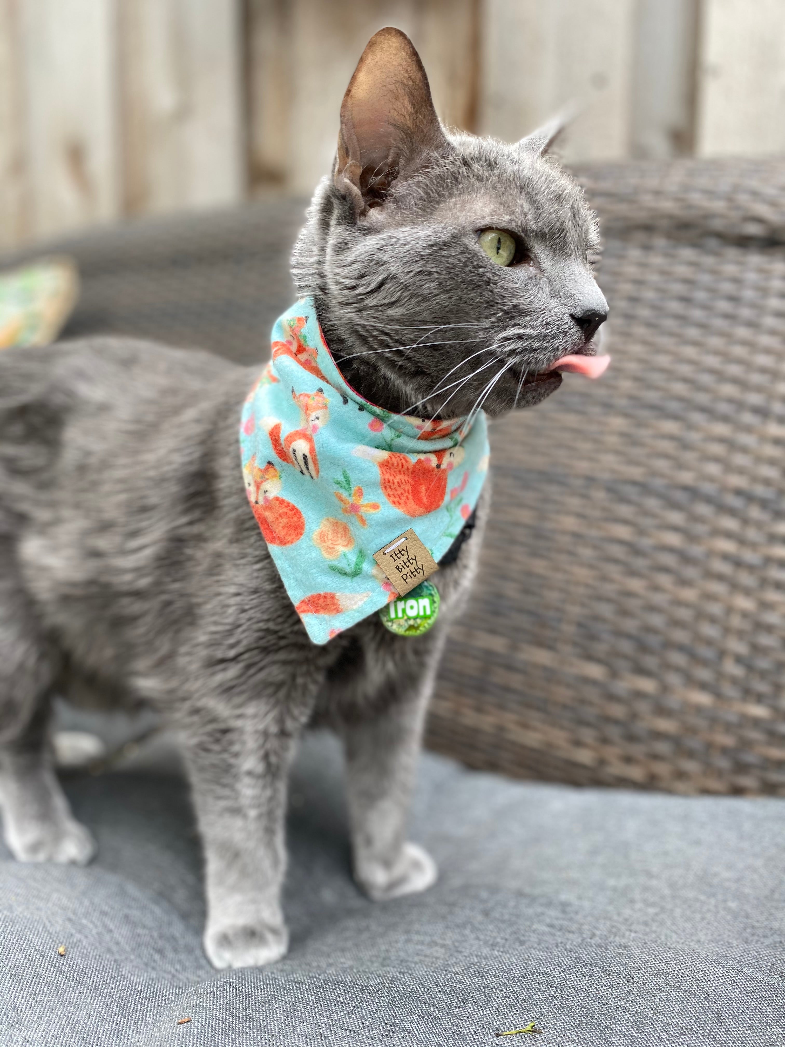 Floral Crown Fox Pet Bandana