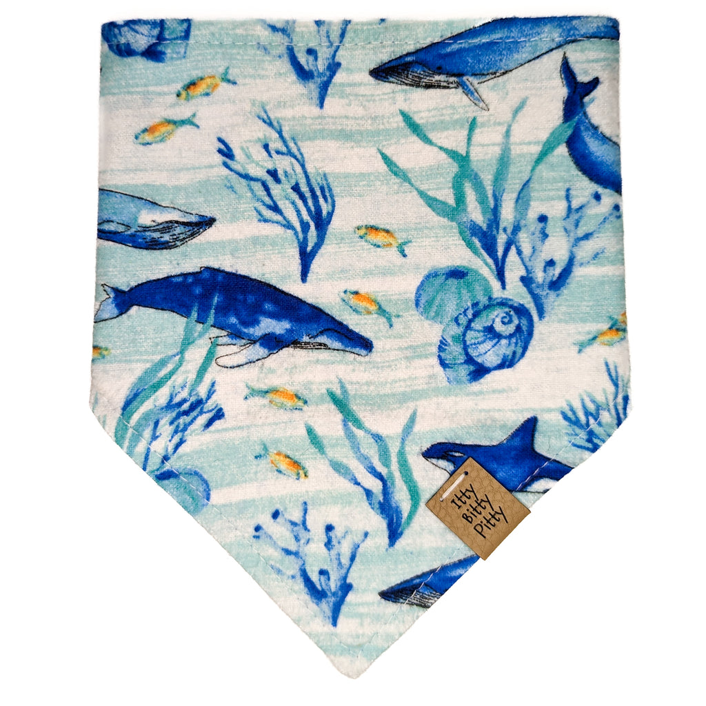 Whale Central Pet Bandana