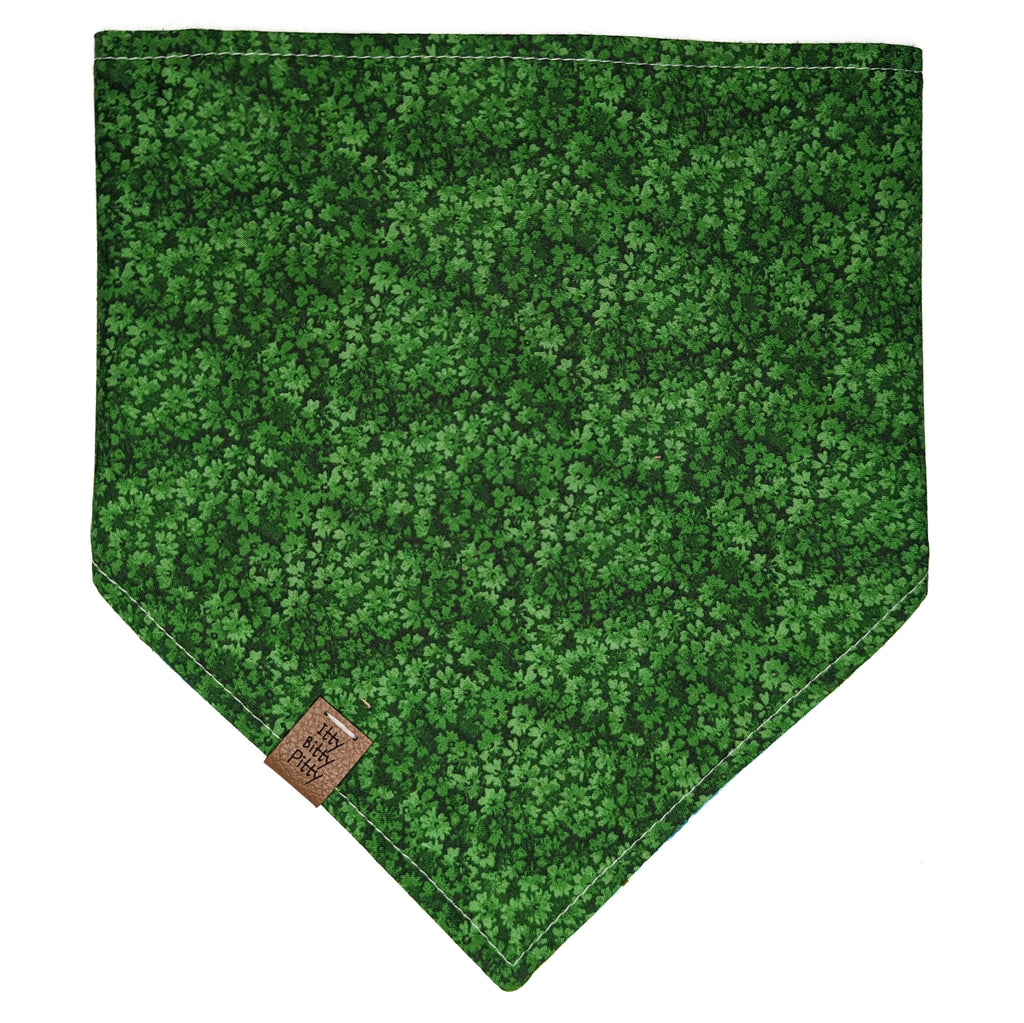 Palm Tree Pet Bandana