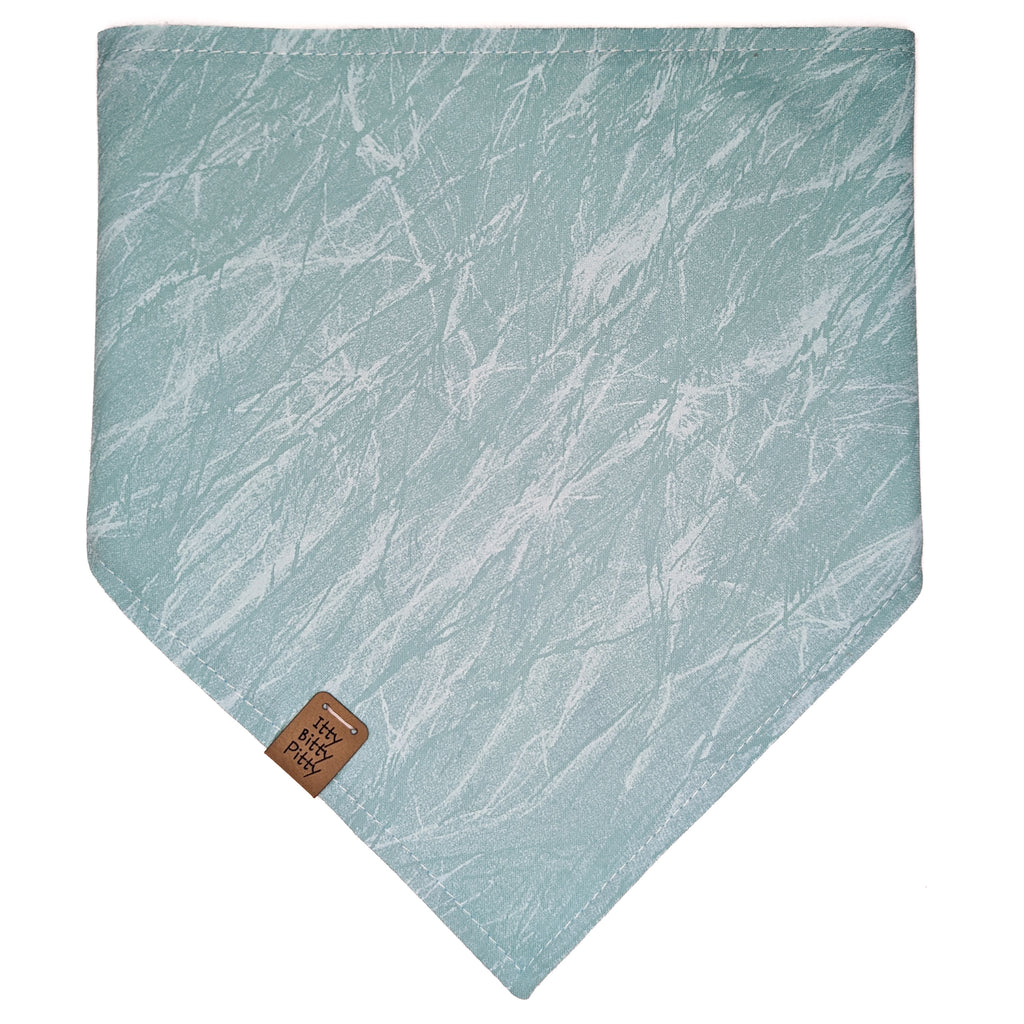 Aqua Turtles Pet Bandana