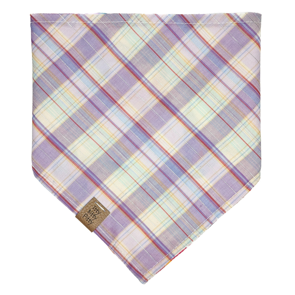 Hummingbirds Pet Bandana
