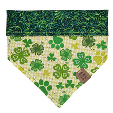 Load image into Gallery viewer, Saint Pawtrick Pet Bandana
