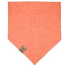 Load image into Gallery viewer, March of the Penguins Pet Bandana
