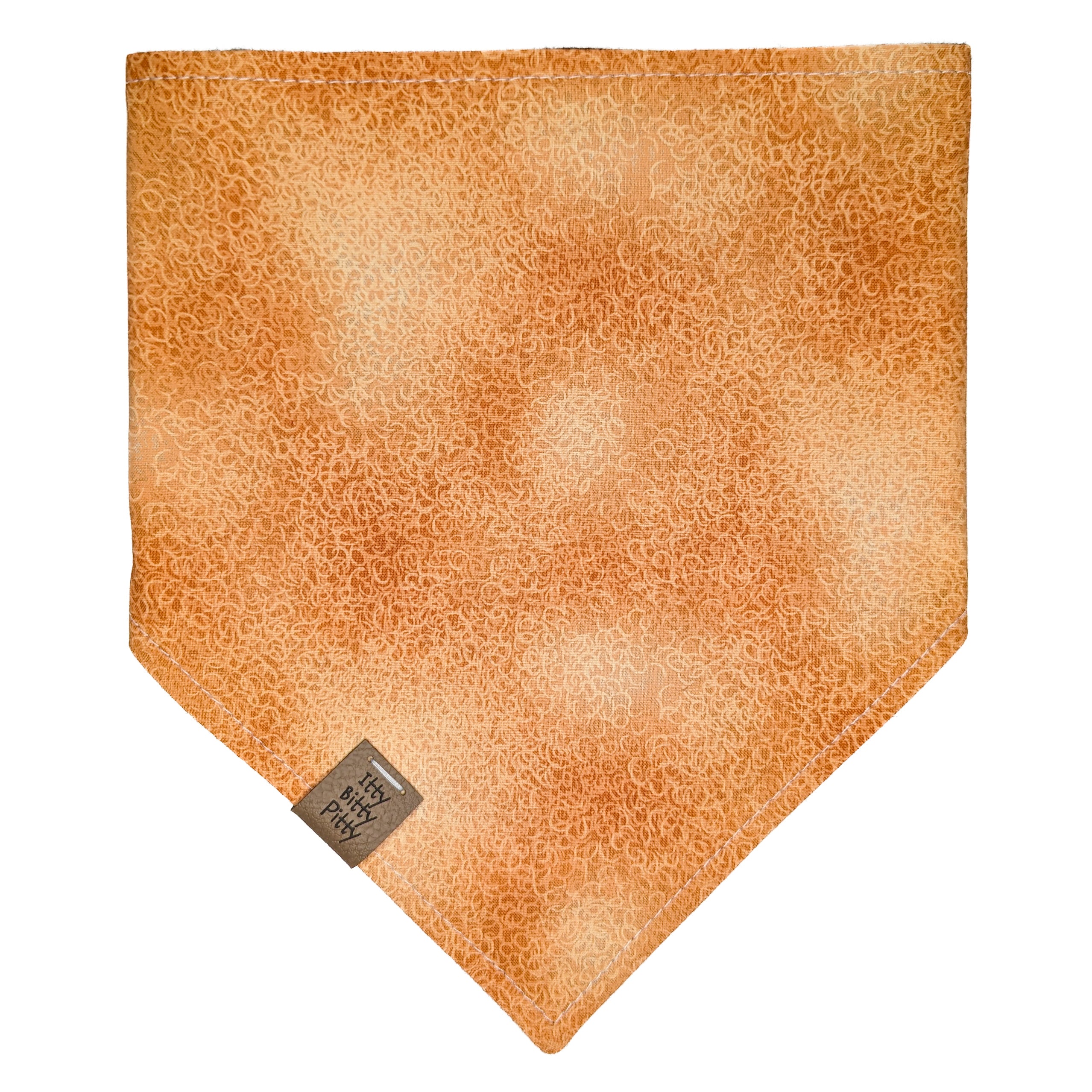 Final Frontier Pet Bandana