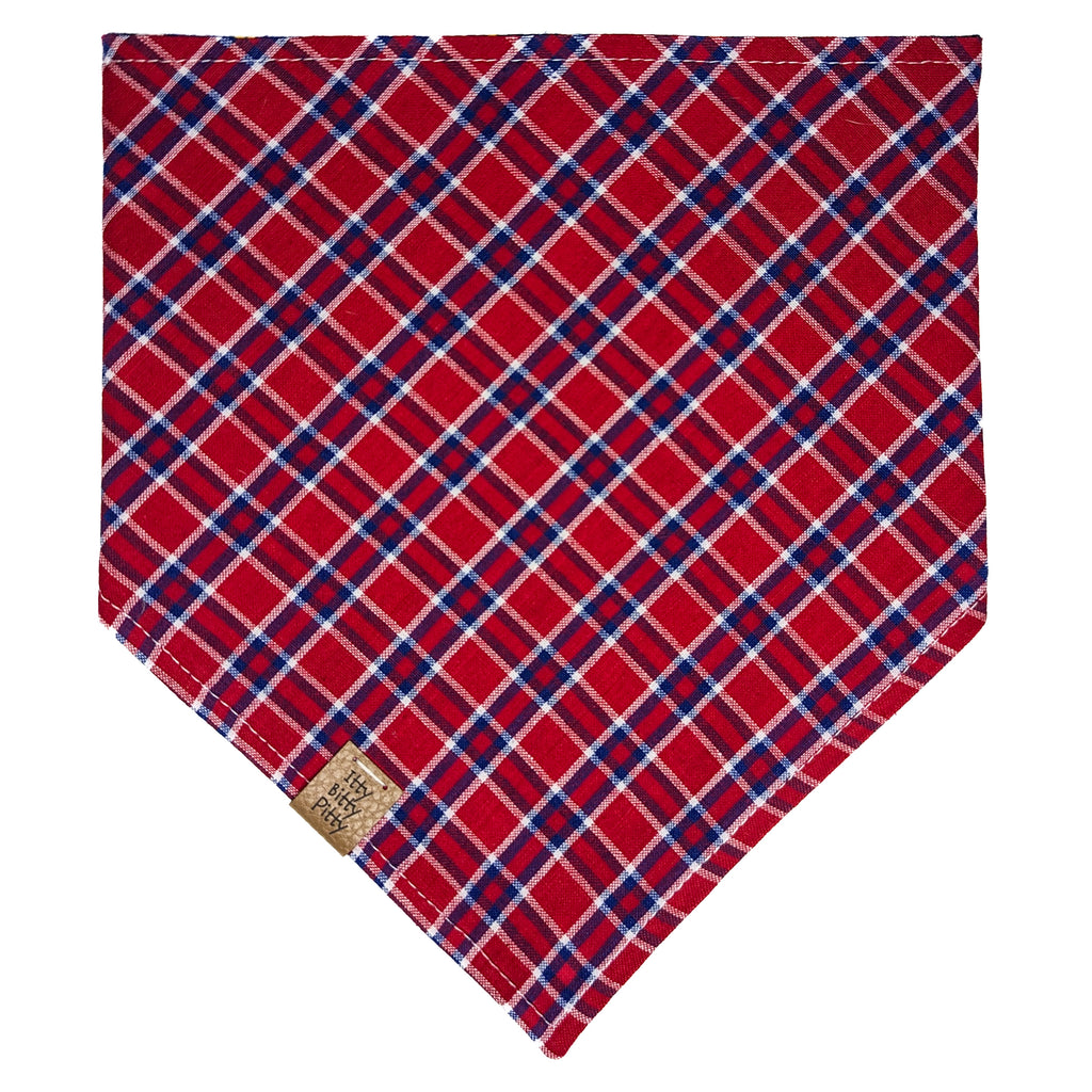 Outta This World Pet Bandana