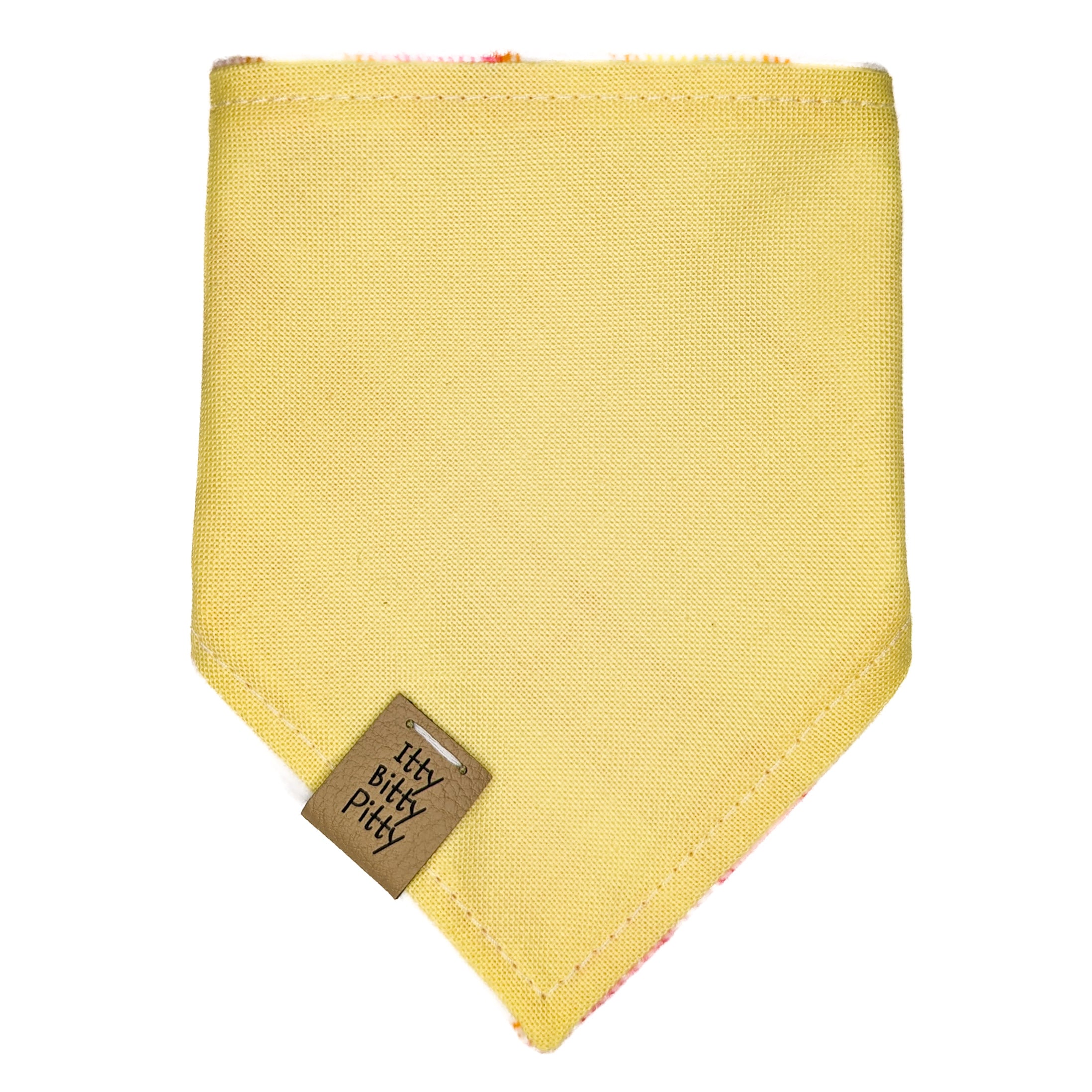 Spring Has Sprung Pet Bandana