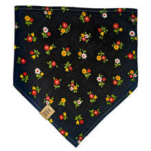 Load image into Gallery viewer, April Showers Pet Bandana
