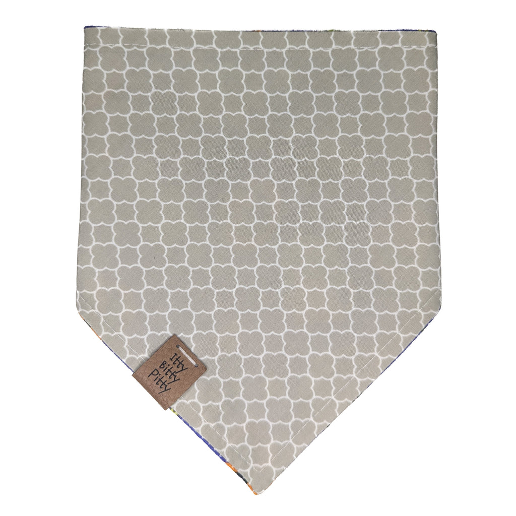 Halloween Cats Pet Bandana