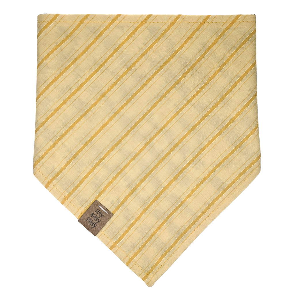 Dazzling Daisies Pet Bandana