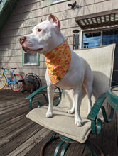 Load image into Gallery viewer, Sunset Floral Pet Bandana
