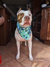 Load image into Gallery viewer, Aqua Paint Palette Pet Bandana
