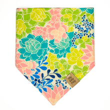 Load image into Gallery viewer, Suc-CUTE-lent Pet Bandana
