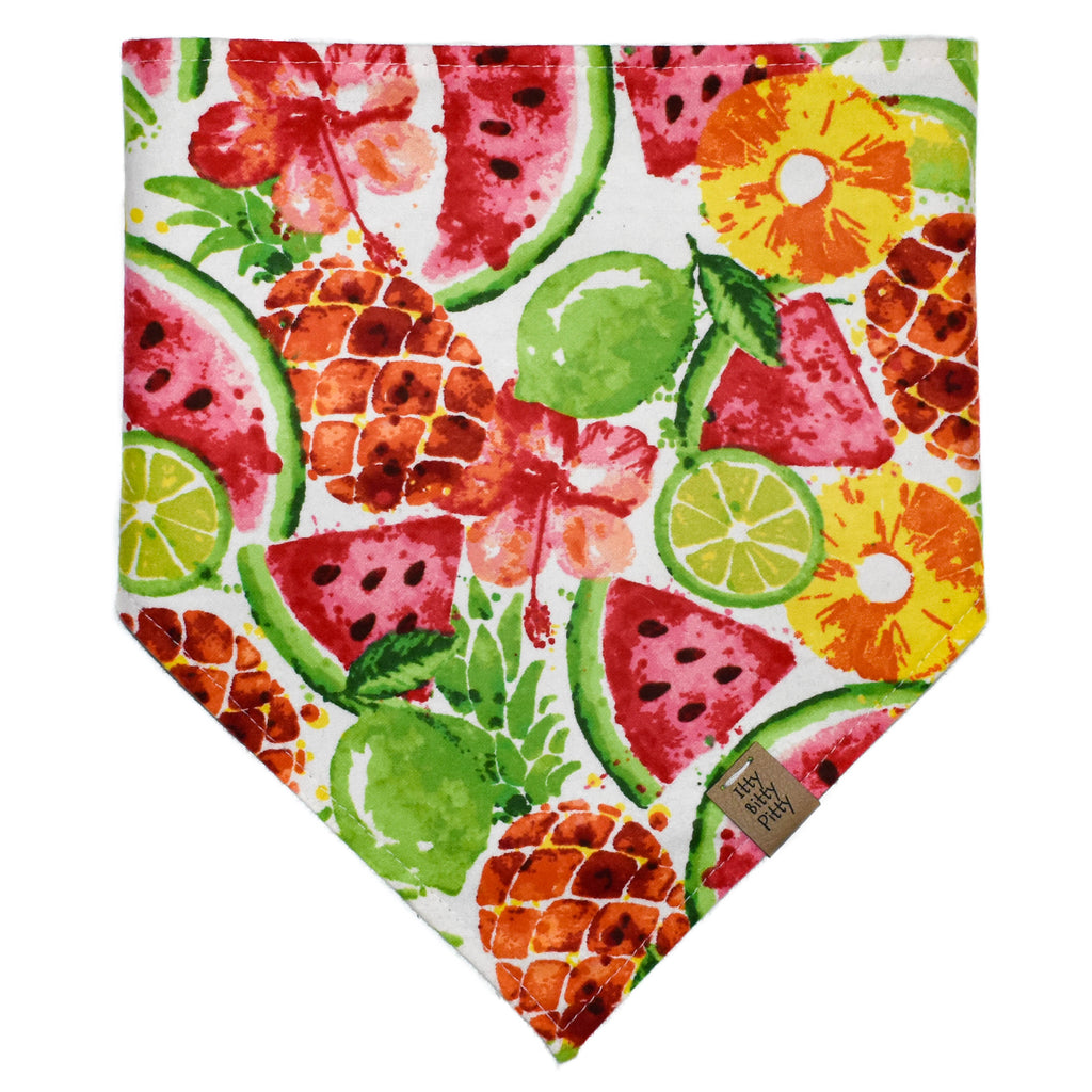 Watercolor Fruit Pet Bandana