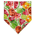 Watercolor Fruit Pet Bandana