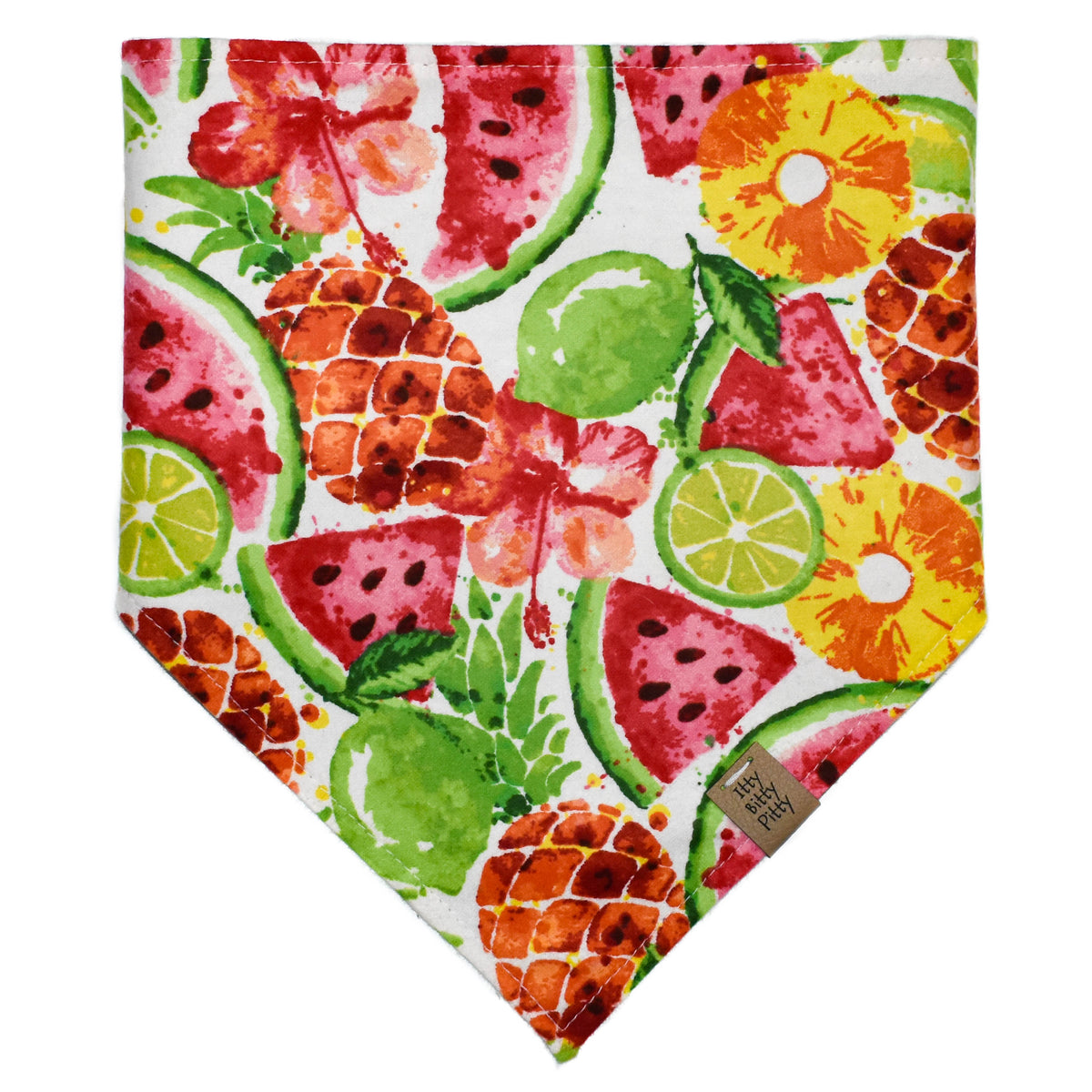 Watercolor Fruit Pet Bandana
